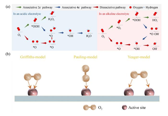 ORR mechanism