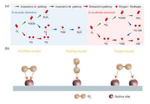 ORR mechanism