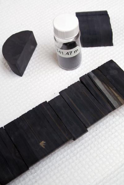 Pyrite-Rich Black Shale
