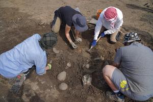 Students from the University of Vienna clearing the Roman-period finds in Area F1