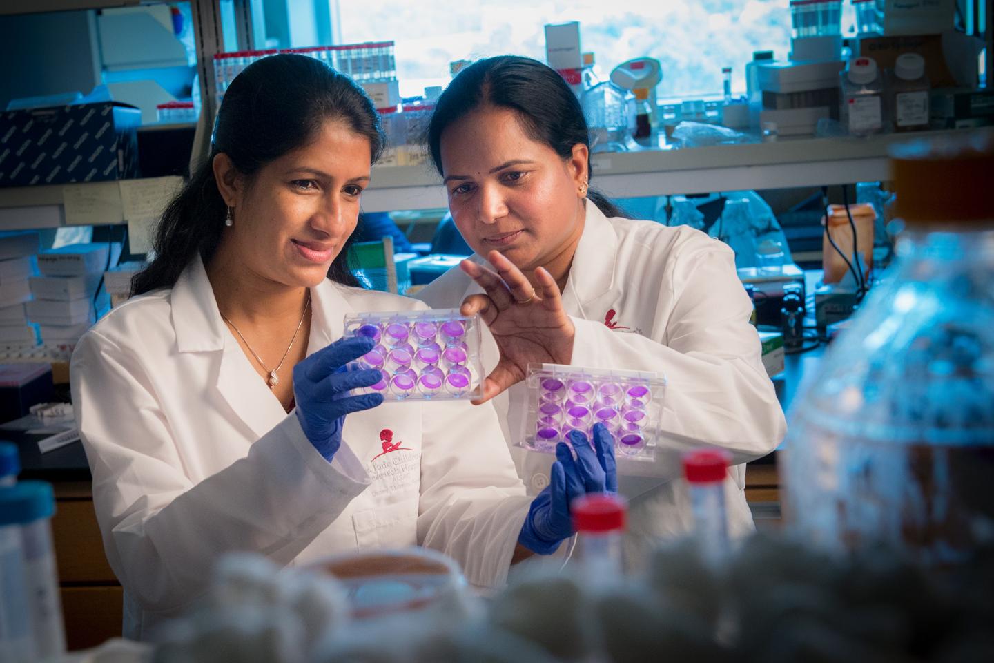 St. Jude Researchers Pinpoint Key Influenza-Fighting Immune Trigger