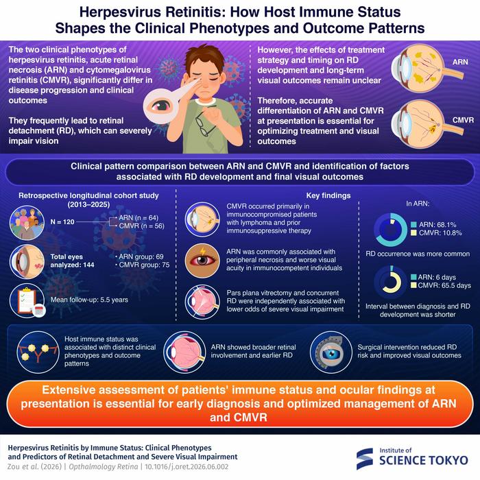 Herpesvirus Retinitis: How Host Immune Status Shapes the Clinical Phenotypes and Outcome Patterns