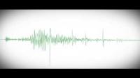 Infrasound Recording of the Meteor that Broke up Over Russia's Ural Mountains