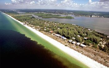 Red Tide