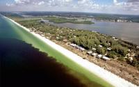 Red Tide