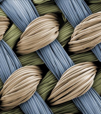 Artificial Cartilage Scaffolding