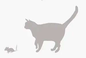 Cat and mouse