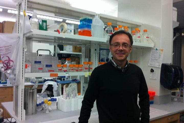 Alessandro Vindigni, Saint Louis University