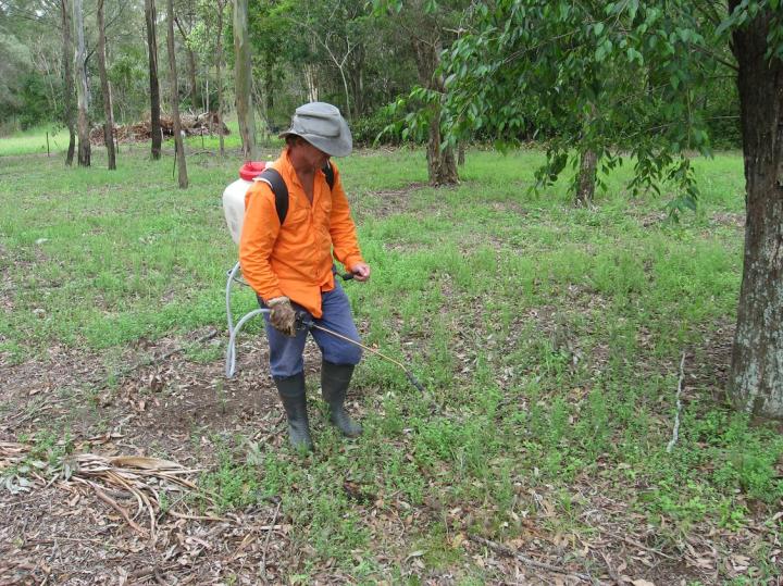 Herbicides in Use