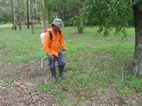 Herbicides in Use