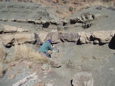 Getting Close to the Mass Extinction