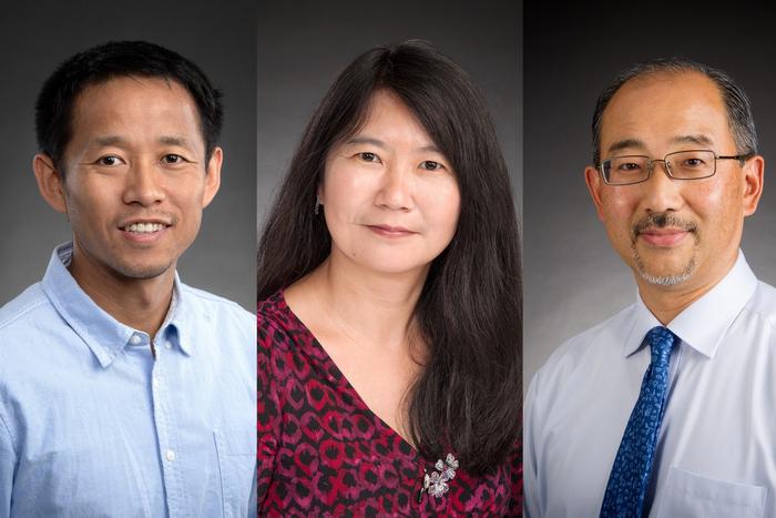 St. Jude survivorship portal brings researchers ‘one-click’ away from discovery
