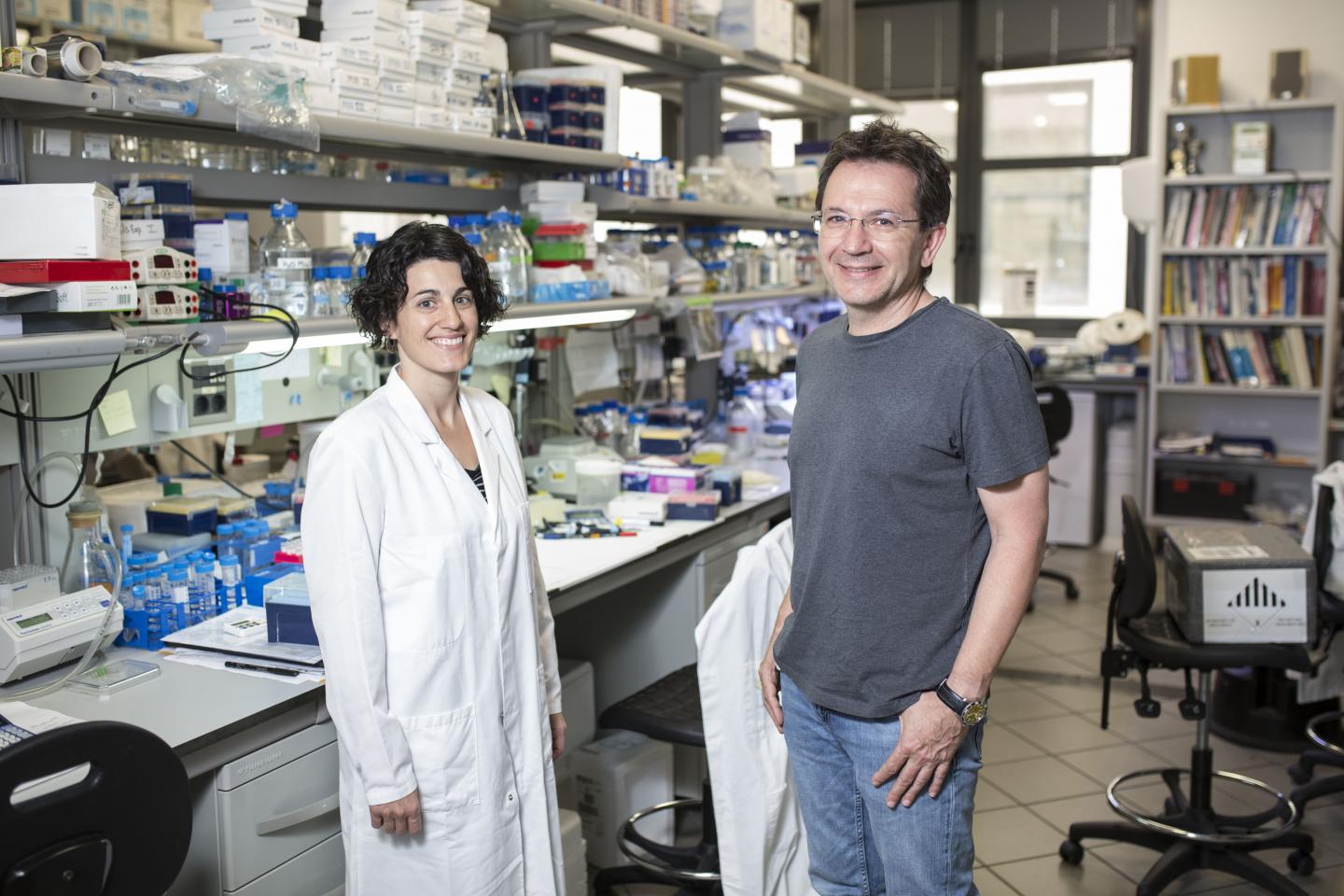 Translational Control of Cell Cycle and Differentiation Lab