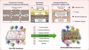 Bio-Inspired Membrane Breaks Key Battery Barrier, Paving the Way for Large-Scale Energy Storage