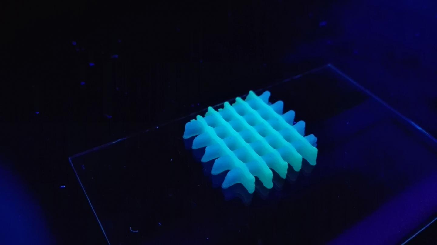Printing "Living Materials" with Bacteria-loaded Inks (8 of 12)