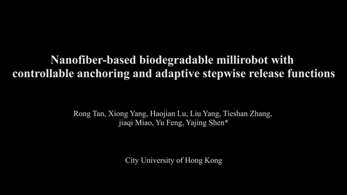 How Fibot works