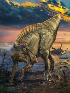 Artist rendering of Edmontosaurus annectens