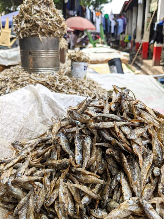 Sun-dried anchovy in Mombasa, Kenya