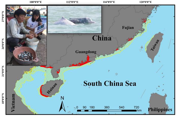 Figure 1. Relative abundance of Indo-Pacific humpback dolphins (Sousa chinensis) along the Chinese coast estimated through interview-based sighting histories. The study demonstrates that local ecological knowledge (LEK) can provide reliable and cost-effec