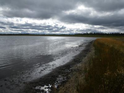 Exposed Former Lake Bottom