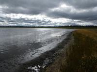 Exposed Former Lake Bottom