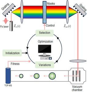 Learning-based control of femtosecond laser pulses in experimental settings