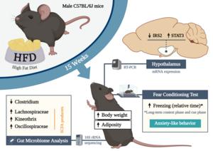 Graphical abstract describing study design