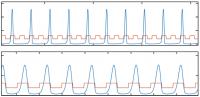 Protein Fluctuations