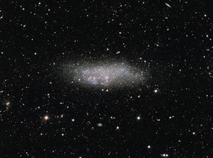The WLM Galaxy on the Edge of the Local Group