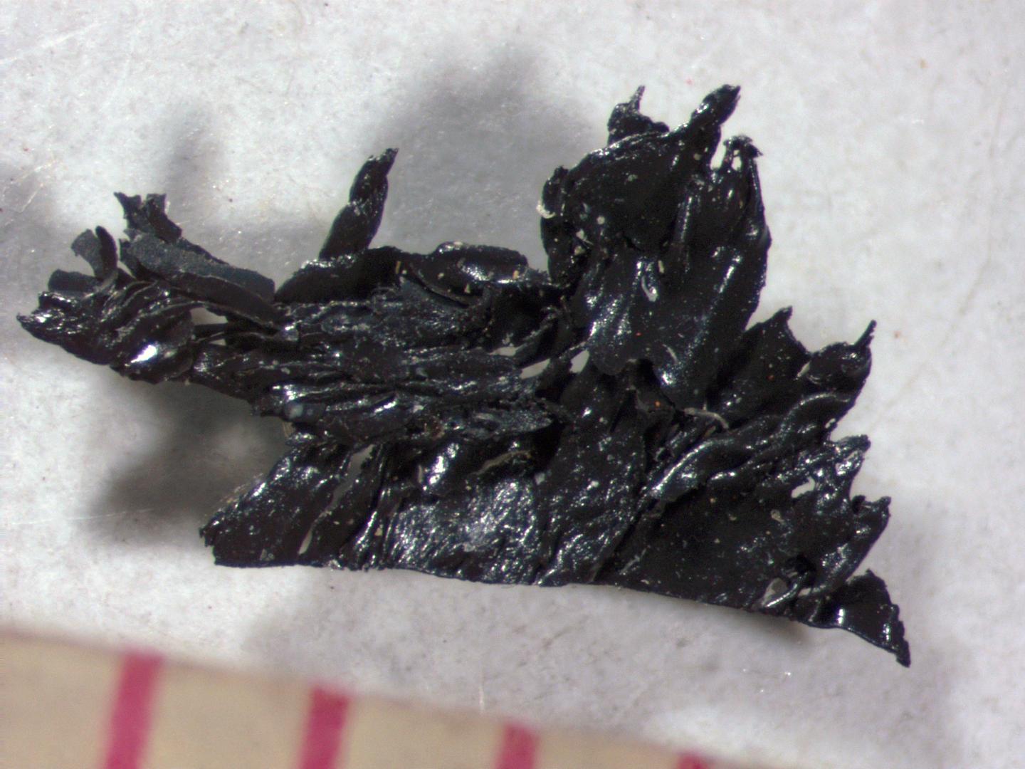 the black spot from the diary