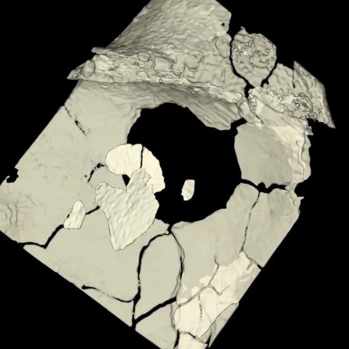 3D rendering of Shanidar A wound