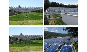 Agriphotovoltaic (agriPV) or agrivoltaic rice paddy plant with a dual-axis, sun-tracking system developed in Miyada-mura, Nagano prefecture, Japan.