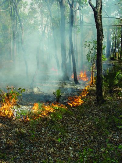 Prescribed Burn in Australia