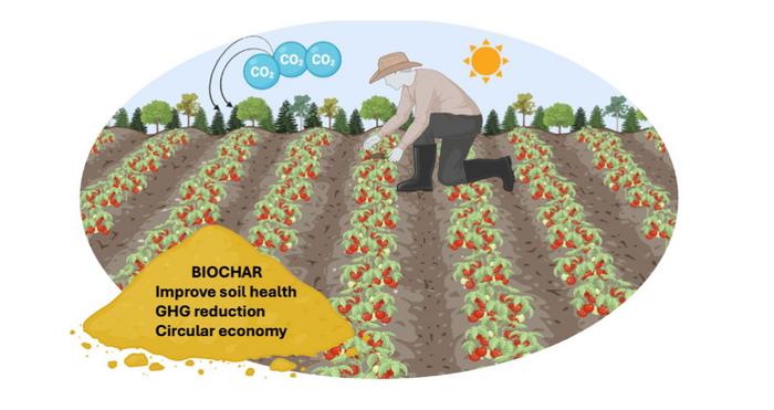 Food waste to biochar; a potential sustainable solution for Australia: a comprehensive review