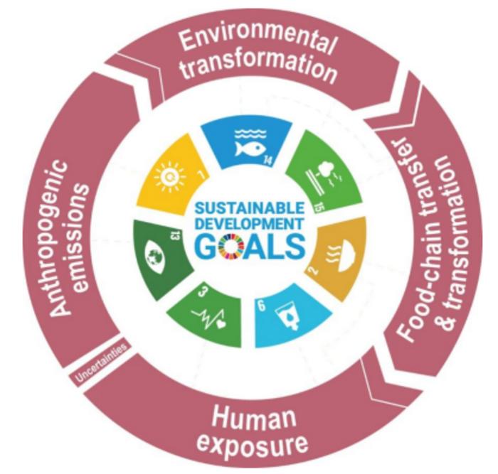 The interlinkage between anthropogenic mercury emissions, human methylmercury exposure, and sustainable development goals (SDGs).
