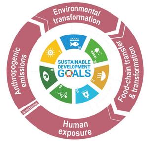 The interlinkage between anthropogenic mercury emissions, human methylmercury exposure, and sustainable development goals (SDGs).