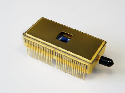 The CCD220 Detector
