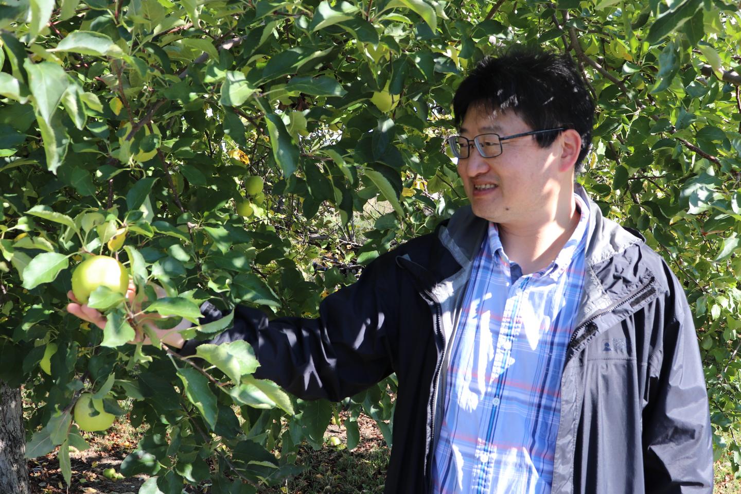 Zhangjun Fei, Boyce Thompson Institute
