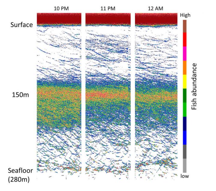 Sonar Data