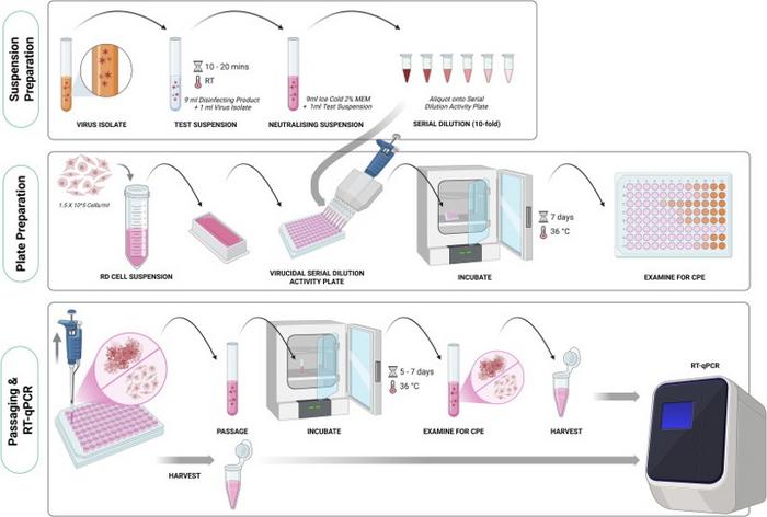 Summary diagram and description of the virucidal activity test process.
