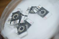 Biosensor Chips