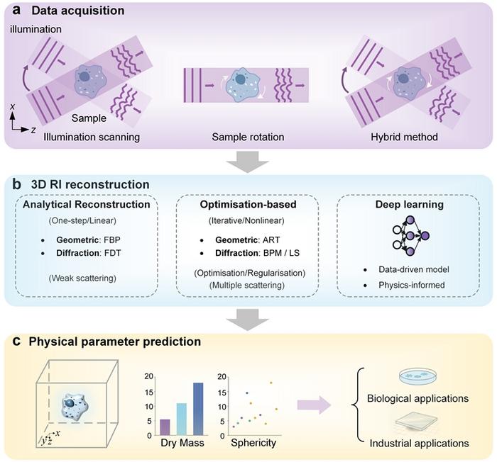 Schematic Overview of 3D RI Imaging and Reconstruction Pipeline