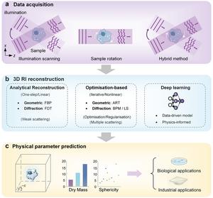 Schematic Overview of 3D RI Imaging and Reconstruction Pipeline