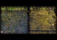 Nutrients Together with Nanoparticles Turn Clear Water (Left) Murky (Right)