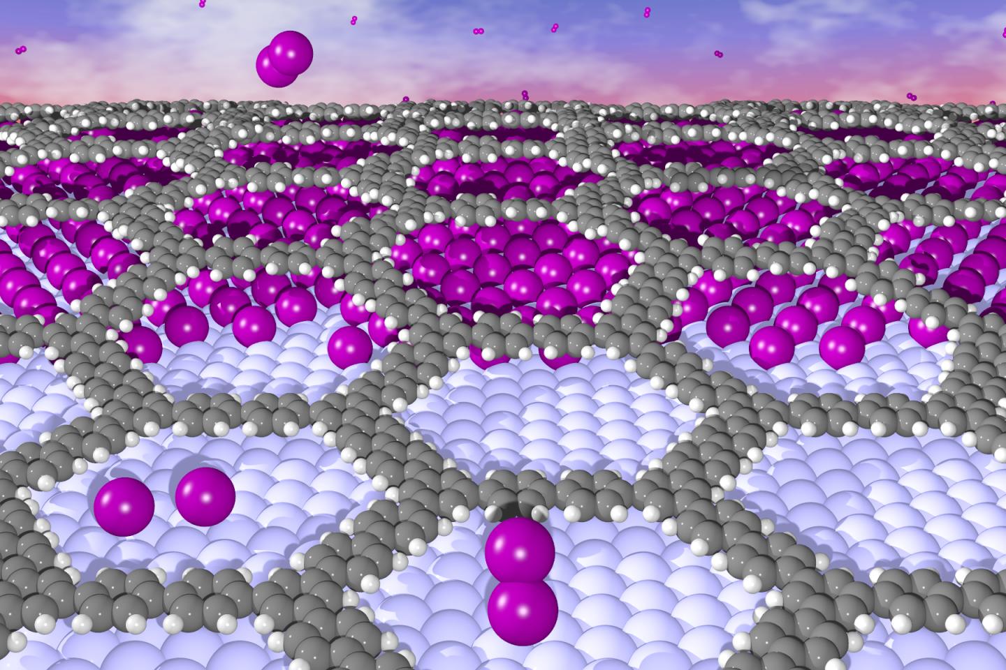 Iodine Creeps under the Organic Network