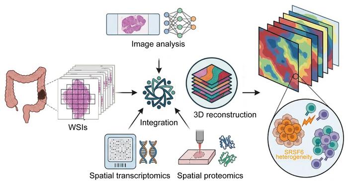Deep Visual Spatial Transcriptomics and Proteomics strategy reveals intra-tumor heterogeneity