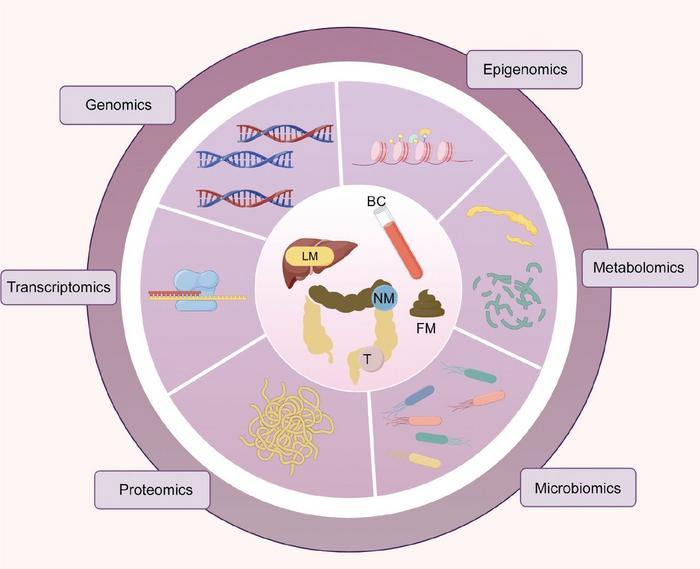 Omics framework of colorectal cancer liver metastasis.