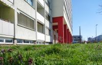 Typical Meadow