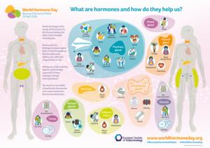 Why hormones matter