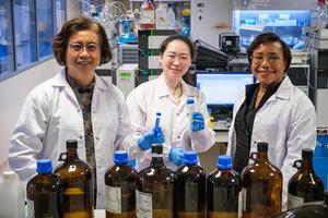 Image 1 - Prof Mary Chan, Dr Kaixi Zhang, Prof Paula Hammond